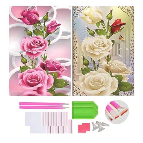 DOUKOYEE 5D DIY Diamond Painting Kinder Erwachsene Blumen Rose Bilder Malerei Bunt Muster Stickerei Kits 5D Diamantmalerei Home Wanddekoration Wohnzimmer Schlafzimmer Eingang Dekoration (C) von DOUKOYEE