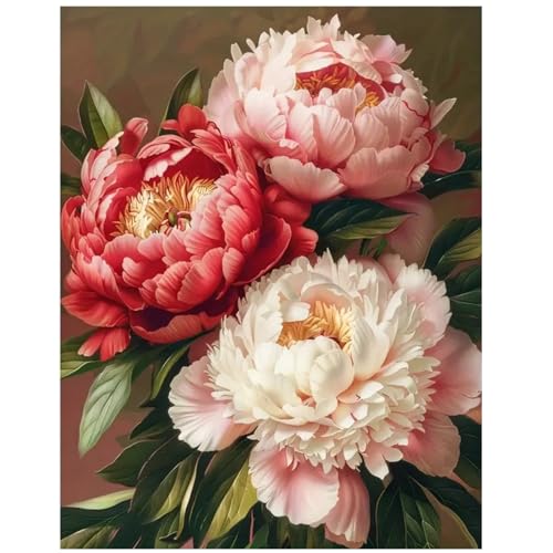 DOUKOYEE 5D DIY Diamond Painting Kinder Erwachsene Blumen Rose Bilder Malerei Bunt Muster Stickerei Kits 5D Diamantmalerei Home Wanddekoration Wohnzimmer Schlafzimmer Eingang Dekoration (E) von DOUKOYEE