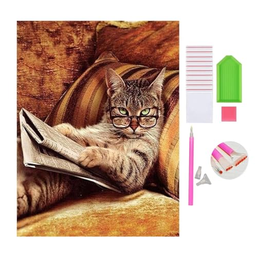 DOUKOYEE Diamond Painting Set für Erwachsene Kinder DIY 5D Diamant Painting Blume Tiere Katze Landschaft Dinosaurier Malen nach Zahlen Diamant Anfänger Home Wall Decor 30x40cm (C-Katze) von DOUKOYEE