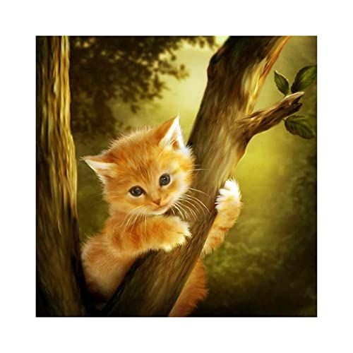 DOUKOYEE Diamond Painting Katze für Erwachsene Kinder DIY 5D Diamant Painting Blume Tiere Landschaft Dinosaurier Malen nach Zahlen Diamant Anfänger Home Wall Decor 35x35cm (N-Katze auf Bäume) von DOUKOYEE