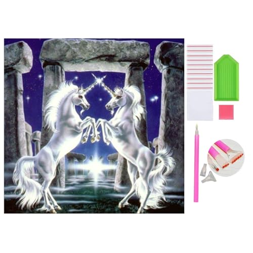 DOUKOYEE Diamond Painting Set für Erwachsene Kinder DIY 5D Diamant Painting Pferd Tiere Frauen Landschaft Malen nach Zahlen Diamant Anfänger Home Wall Decor 40x40cm (B) von DOUKOYEE