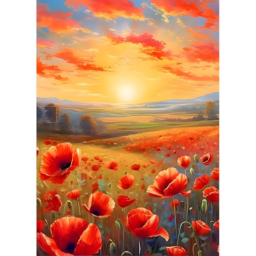 DPHERO DIY Mohnblumen Diamant Painting Bilder für Erwachsene Anfänger,5D Blumen Diamond Painting Set,DIY Sonnenuntergang Runde Steine Diamant Kunst Kits, Diamant Painting für Zuhause Dekor 30x40 cm von DPHERO