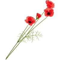 Mohn-Pick mit 4 Blüten von DPI