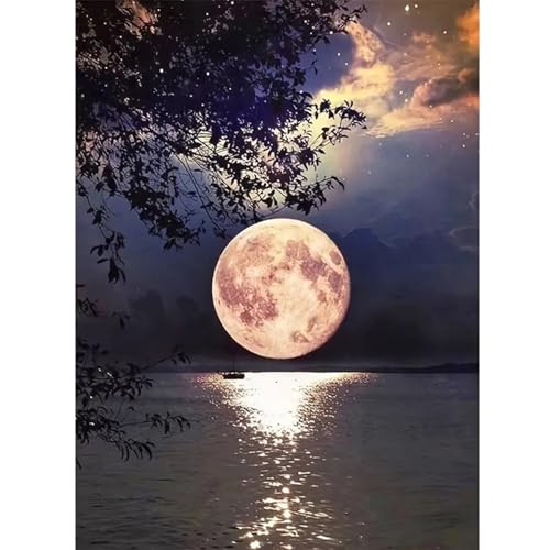 DPIDEA Mond Diamond Painting, 5D Diamond Painting Erwachsene Nachtmond DIY Diamond Painting Bilder, Diamant Malerei Runde Steine für Zuhause Dekor 30x40 cm von DPIDEA