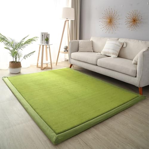 DSSHENGDS Schlafzimmer Wohnzimmerteppich, Jungen Mädchen Weich rutschfest Krabbelmatte für sicheres Spielen und Laufen Lernen Korallensamtteppich 2cm-E- 150 * 280cm von DSSHENGDS