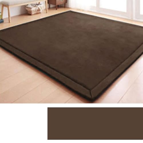 DSSHENGDS Schlafzimmer Wohnzimmerteppich, Jungen Mädchen Weich rutschfest Krabbelmatte für sicheres Spielen und Laufen Lernen Korallensamtteppich2cm-A- 120 * 180cm von DSSHENGDS