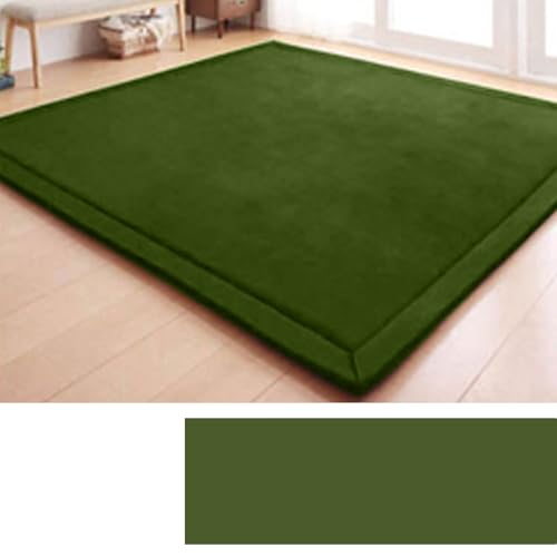 DSSHENGDS Schlafzimmer Wohnzimmerteppich, Jungen Mädchen Weich rutschfest Krabbelmatte für sicheres Spielen und Laufen Lernen Korallensamtteppich2cm-L- 180 * 200cm von DSSHENGDS