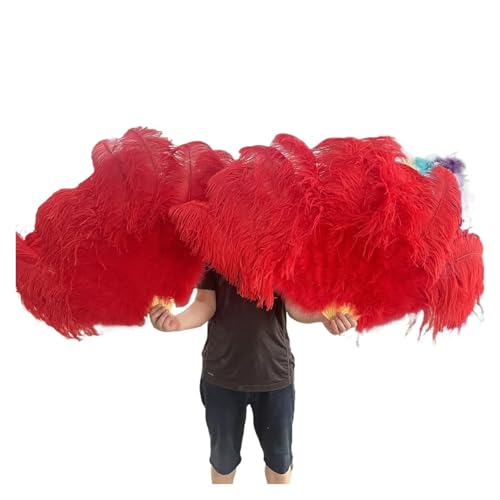 DUNSBY Feder Tanzfächer 13 Knochen Straußenfedern Fan Karneval Party Hochzeit Feier Bauchtanz Show DIY Dekoration Mint Grün Plumes Fan(Red,2PCS) von DUNSBY