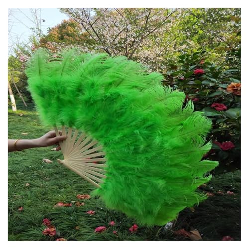 DUNSBY Feder Tanzfächer 15 Knochen Straußenfeder Fächer Feier Party Hochzeit Tanz Performance Requisiten Dekorative Federn for Handwerk Fan(Green) von DUNSBY