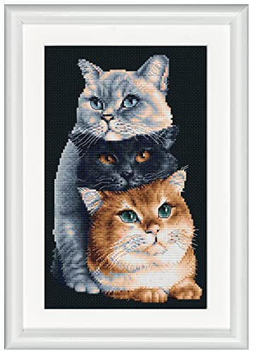 Dutch Stitch Brothers - Gezählter Kreuzstich Kit - DSB015 - Drei Katzen - Aida schwarz - 26 x 18 cm - DIY für Erwachsene von DUTCH STITCH BROTHERS
