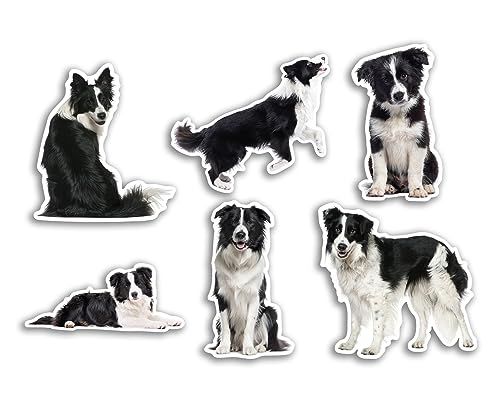 6 x 10 cm Border Collie Vinyl-Aufkleber – Hunde Welpen Tier lustiges Muster Natur Haustiere Gesicht wilde Mädchen Jungen Reise Scrapbooking #80810 von DV DESIGN