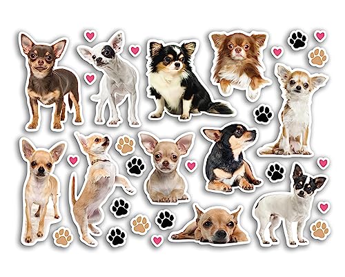 A5 Aufkleber Blatt Chihuahua Vinyl Aufkleber - Hunde Welpen Tiere Haustiere Scrapbooking Reise Dekoration Label Freund Mädchen Jungen Ästhetisch #80806 von DV DESIGN