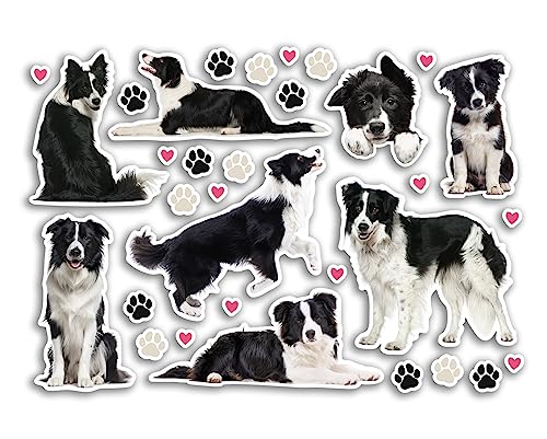 DV DESIGN A5 Aufkleber Bogen Border Collie Vinyl Aufkleber – Hunde Welpen Tiere Scrapbooking Reise Dekoration Label Freund Mädchen Jungen Ästhetisch #80810 von DV DESIGN