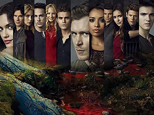 Diamond Painting Kits for Adults DIY Vampire Diaries Diamond Art 5D Paint with Diamonds Full Drill Gem Art Cross Stitch Arts Stickerei Home Wall Decoration 30,5 x 40,6 cm von DVBQQWE