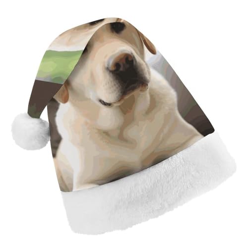 DWTJKMS Weihnachtsmütze, Weihnachtsmannmütze, Geschenk, Hüte, Weihnachten, Urlaub, Uni, niedlicher Labrador-Hund, Weihnachtsmütze, Partyhut von DWTJKMS