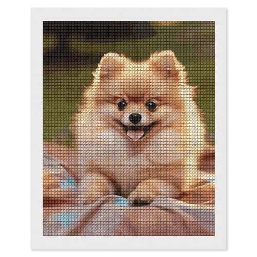 Kurzhaarige Pomeranian Diamond Art Painting 5D DIY Diamond Painting Diamond Picture Kits für Erwachsene Full Square Drill Diamant Punkte Gemälde für Anfänger Gem Art Painting von DWTJKMS