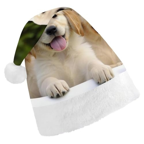 DWVSFJM Golden Retriever Puppies Weihnachtsmannmütze, weiche Weihnachtsmütze, Erwachsene, waschbar, Uni, stilvolle Urlaubsmütze von DWVSFJM