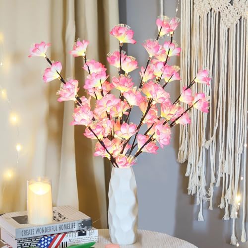 DZAY Frühlingdeko Lichterzweige Lichterketten Plumeria Zweigleuchten,Lichterzweige Innen Twig Lights von Batteriebetriebene Dekorleuchten 25,5 Zoll 20LED für Tischparty Wohnzimmer Schlafzimmer (Rosa) von DZAY