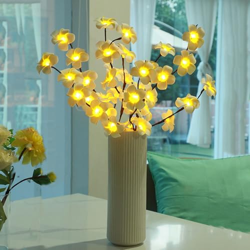 DZAY Frühlingdeko Lichterzweige Lichterketten Plumeria Zweigleuchten,Lichterzweige Innen Twig Lights von Batteriebetriebene Dekorleuchten 25,5 Zoll 20LED für Tischparty Wohnzimmer Schlafzimmer (Weiß) von DZAY