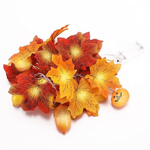 Herbstdeko Lichterkette Ahornblatt Lichter,Ahornblätter Herbstgirlande 1.5m x 10LEDs Ahorn Blättergirlande Herbst Maple Leaf Kürbis Lichterkette für Party,Thanksgiving Weihnachtsdekoration von DZAY