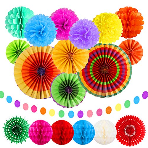 Dadabig 20 Stück Papier Fans Fächer, Regenbogen Hängende Papierfächer Dekoration Set Bunte Seidenpapier Pompons Wabenbälle Dekorpapier Kit für Hochzeit, Karneval, Feier und Party von Dadabig