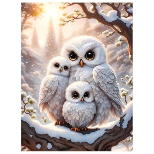 Daisen Art Diamond Painting Eule - Diamant Painting Bilder, Diamond Painting Erwachsene Set Tiere für Geschenk und Zuhause Wanddekoration 30x40cm von Daisen Art