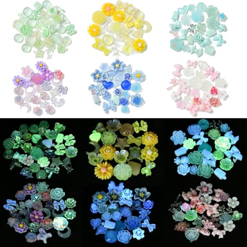 DanLingJewelry 18G 6 Farben leuchten im Dunkeln Harz flache Rückseite Charms Mix Leuchtende Harz Decodieren Cabochons für DIY Handwerk Scrapbooking Verzierungen von DanLingJewelry