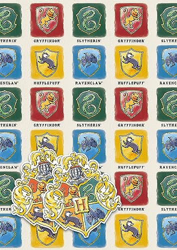 Offizielles Harry Potter Luxus-Geschenkpapier, 2 Bögen, 2 Etiketten, Harry Potter von Danilo Promotions LTD