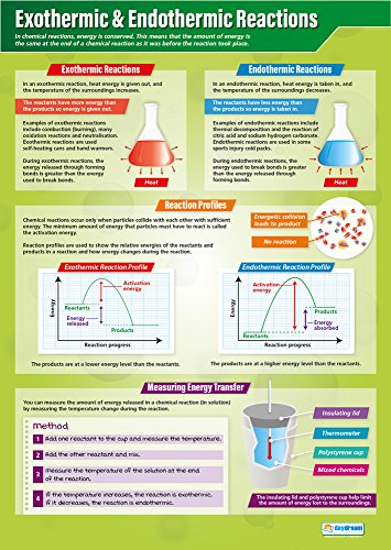 Daydream Education Exothermic & Endothermic Reactions, Wissenschaftsposter, laminiertes Glanzpapier, 850 mm x 594 mm (A1), Wissenschaftsdiagramme für das Klassenzimmer, Bildungstabellen von Daydream Education