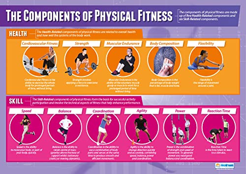 Daydream Education Lernposter „Components of Physical Fitness“ (körperliche Fitness) für Sportunterricht, Klassenzimmer, laminiertes Hochglanzpapier, 850 x 594 mm (A1), in englischer Sprache von Daydream Education