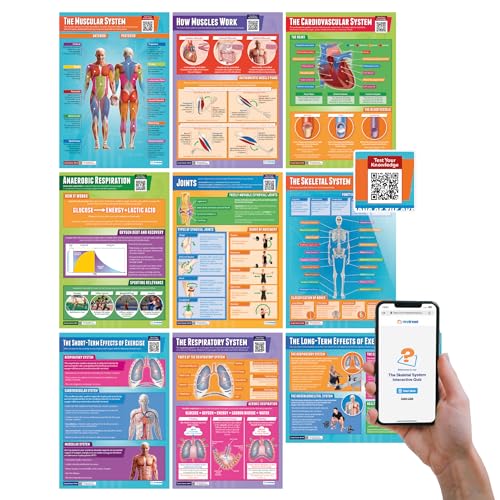 Daydream Education Poster für Anatomie und Physiologie, laminiertes Hochglanzpapier, 850 mm x 594 mm (A1), Lehrtafeln für das Klassenzimmer, 9 Stück – auf Englisch von Daydream Education