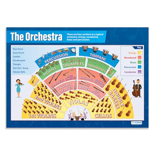 Daydream Education: Das Orchester, Musikposter, Glanzpapier, 850 x 594 mm (A1), Musikposter für das Klassenzimmer, Bildungsposter (englische Version) von Daydream Education