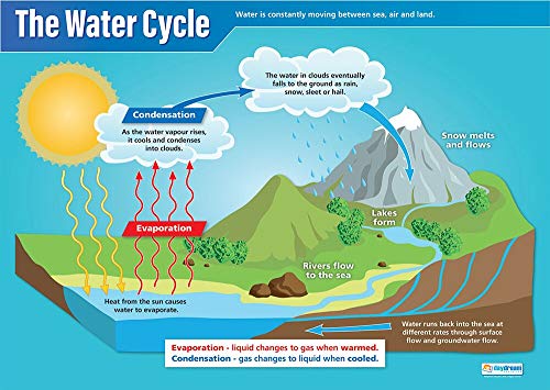 The Water Cycle | Science Poster | Glanzpapier mit den Maßen 850 mm x 594 mm (A1) | Science Charts für das Klassenzimmer | Bildung von Daydream Education von Daydream Education