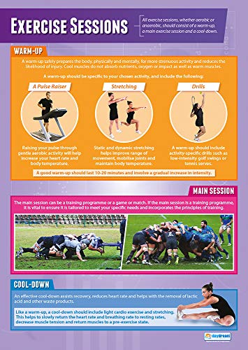 Daydream Education Lernposter „Exercise Sessions“ für den Sportunterricht, Hochglanzpapier, 850 x 594 mm (A1) – in englischer Sprache von Daydream Education