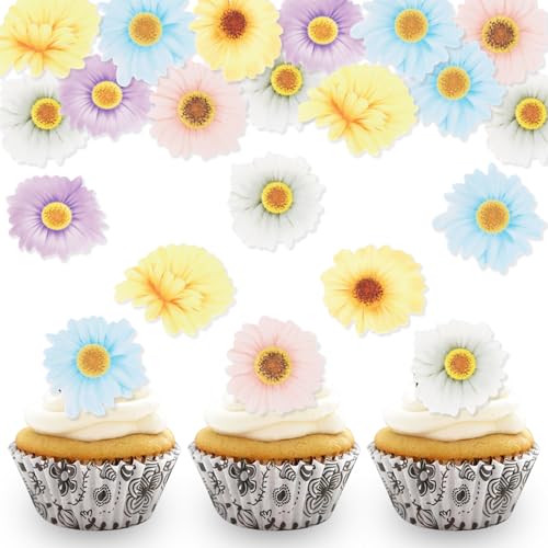 DazzJoy 48 Stk Essbare Blumen für Torte,Gänseblümchen Tortendeko Blumen Essbar,Kuchen Deko Blumen Essbar,Essbare Blüten Tortendeko Essbar,Gänseblümchen Deko Hochzeit,Taufe Geburtstag von Dazzjoy