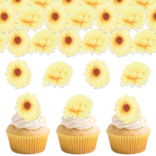 DazzJoy 48 Stk Gänseblümchen Essbare Tortendeko Blumen,Essbare Blumen für Torte,Gänseblümchen Tortendeko Essbar,Gänseblümchen Cupcake Topper Hochzeit,Esspapier Blumen Muffin Deko Essbar Geburtstag von Dazzjoy