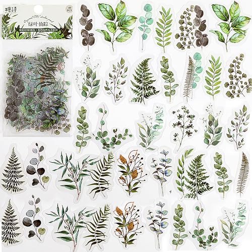 40 Blatt Pflanzen Aufkleber Grün Blatt Sticker Pflanzen Blätter Aufkleber Vintage Stickers Blätter Deko Sticker Natur Stickerbögen Journaling Scrapbooking Sticker für Kinder Fotoalbum Stickerbuch von Ddayup