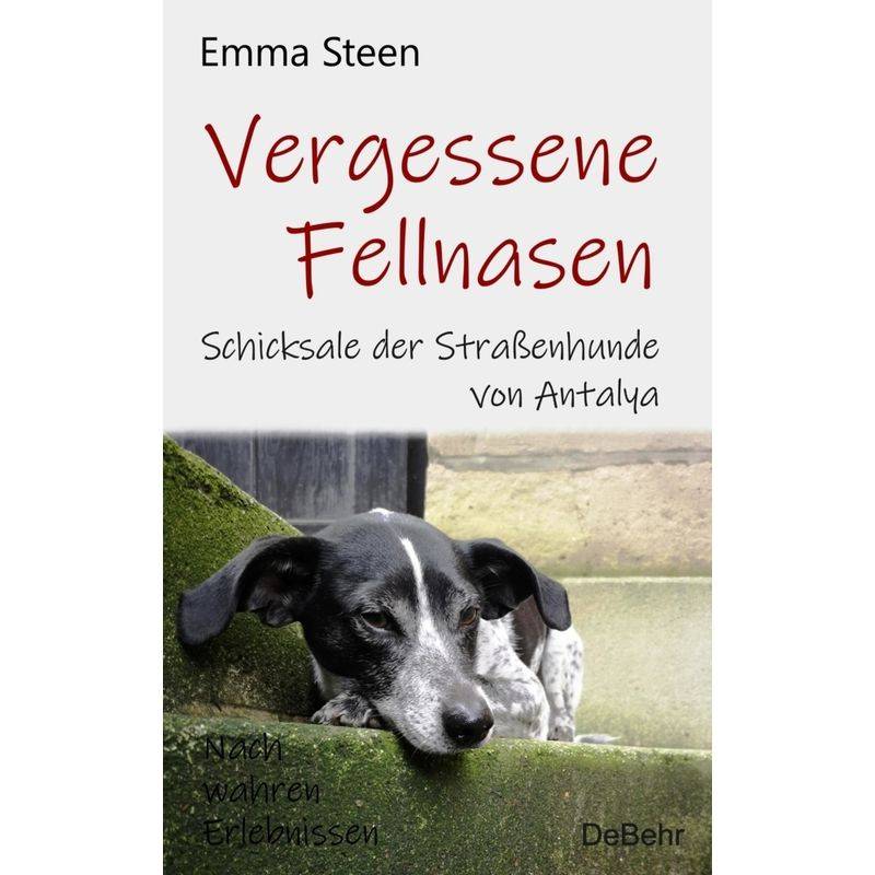 Vergessene Fellnasen - Schicksale Der Straßenhunde Von Antalya - Nach Wahren Erlebnissen - Emma Steen, Kartoniert (TB) von DeBehr