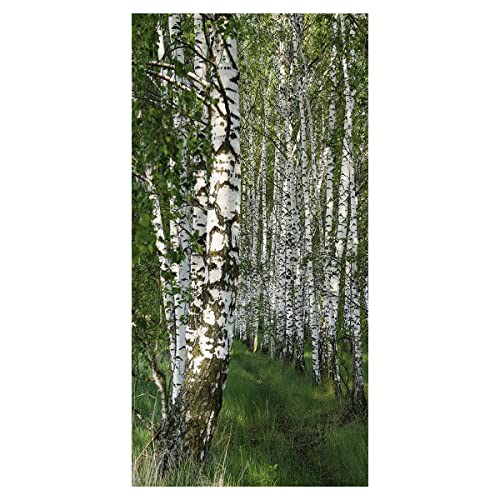 Baumwoll-Textilbanner Dekobanner Stoffbanner Stoffposter Birkenwald 1 x 2 m von Deco Woerner