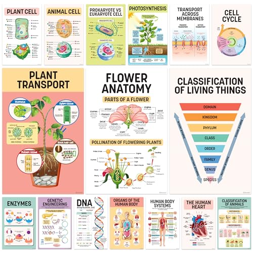 16 Wissenschaftsposter für Klassenzimmer, Mittelschule – 27.9x43.2 cm Wissenschafts-Klassenzimmer-Poster, Wissenschafts-Klassenzimmer-Dekorationen, Mittelschule, Gymnasium, Biologie-Poster von Decorably