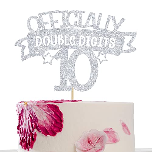 Double Digits 10 Cake Topper, Happy 10th Birthday Cake Decorations, Out Single Digits I'm 10, Boys Girls Funny 10th Birthday Party Dekorations Supplies Silber Glitter von Dejupgar