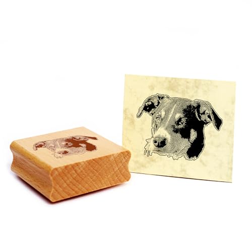 Dekolando Motivstempel Appenzeller Sennenhund Stempel Hund Holzstempel 48 x 37 mm von Dekolando