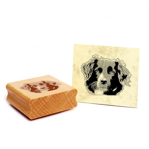 Dekolando Motivstempel Border Collie Stempel Hund Holzstempel 48 x 39 mm von Dekolando