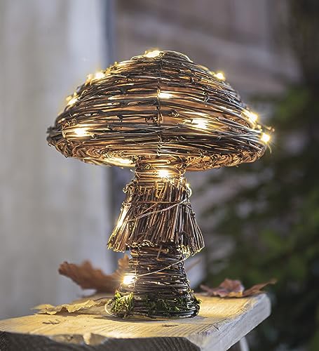 Dekoleidenschaft LED Dekofigur Pilz Rustic aus Weide, integrierte Lichterkette mit 30 warm-weiß LEDs, 23 cm hoch, Herbstdeko, Leuchtdeko von Dekoleidenschaft