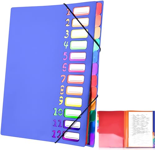 Delamiya Dokumentenmappe A4, Tragbar Fächermappe mit 12 Fächern, PP Kunststoff Ordnungsmappe Pultordner mit Gummizug, Wasserdicht, für Schule Bürobedarf von Delamiya