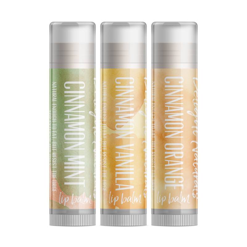 Delight Naturals Cinnamon Blends Lippenbalsam-Set - Single Tube von DelightNaturals