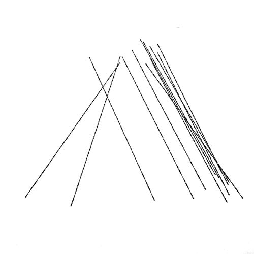 12Stück Scroll Sägeblätter,Holzsägeblatt Dekupiersägeblätter Scharfe geschliffene Zähne Sägeblätter mit spiralförmigen Zähnen zum Schneiden (4#) von Astibym