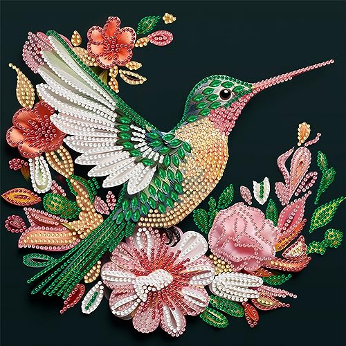 5D DIY Diamond Painting Bilder Tiere Set, Teilbohrer Diamant Painting Quilling Malerei Kolibri Eule Kit, Mahlen nachen Zahlen Diamant Malerei Deko Geschenk 30x30cm (C) von Demiawaking