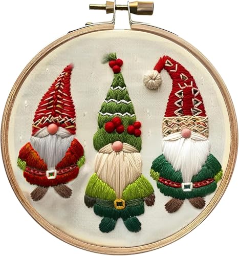 Stickerei Set Anfänger, Stickerei Kits Weihnachten Weihnachtsdeko, Kreuzstich Anfänger Set, Kreuzstich Starter Kit mit Muster, Stickrahmen, Farbfäden und Werkzeuge, DIY Kunst Handwerk Nähen (E) von Demiawaking