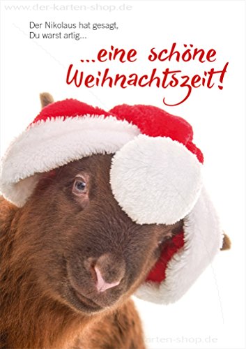 3 Stück Weihnachtskarten Doppelkarte mit Kuvert Karte Weihnachten Schaf/Lamm "Der Nikolaus hat gesagt, Du warst artig. Schöne Weihnachtszeit!" von Der-Karten-Shop.de